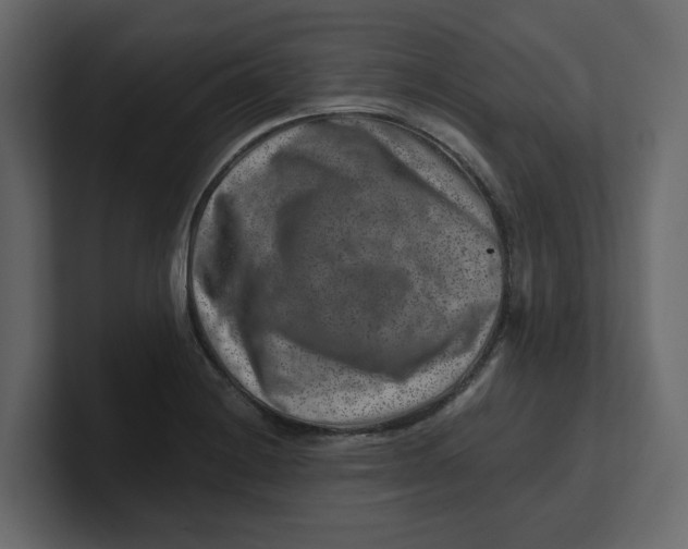 X0000100901228200807151111