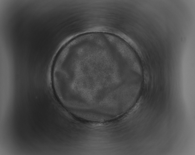 X0000100901230200807151111