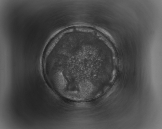 X0000100901231200807151111