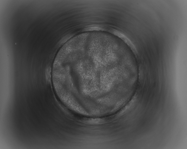 X0000100901233200807151111