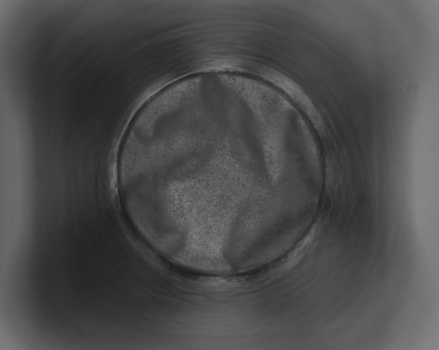 X0000100901234200807151111