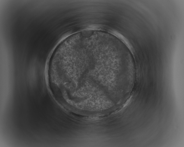 X0000100901235200807151111