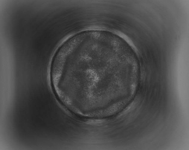 X0000100901237200807151111