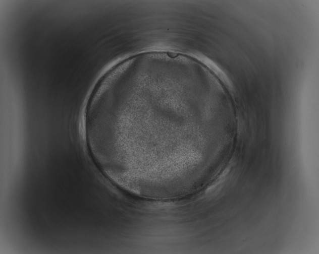 X0000100901238200807151111