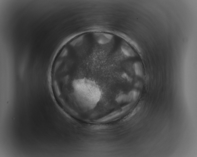 X0000100901239200807151111