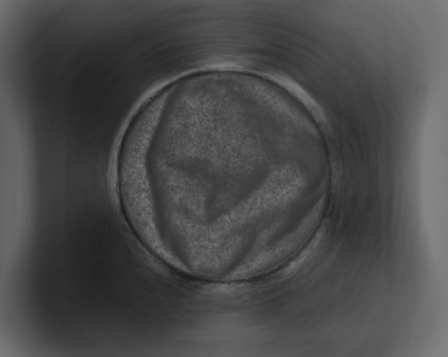 X0000100901240200807151111