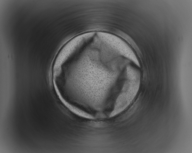 X0000100901242200807151111