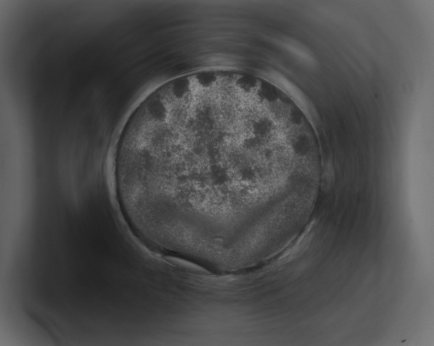 X0000100901243200807151111