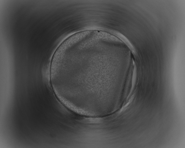 X0000100901244200807151111