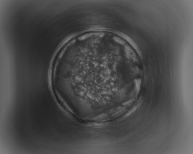 X0000100901245200807151111