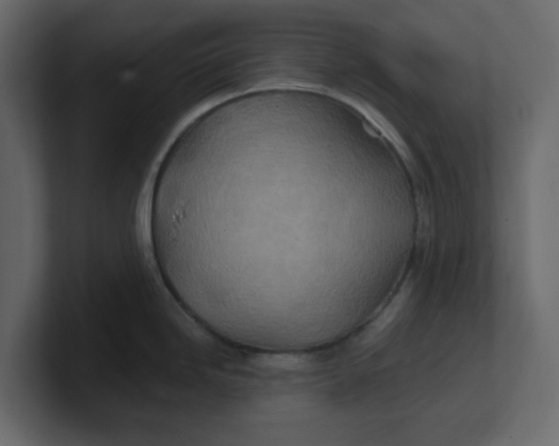 X0000100901246200807151111