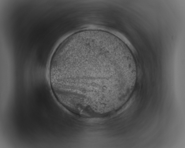 X0000100901247200807151111