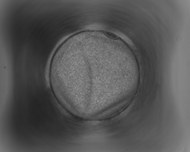 X0000100901248200807151111