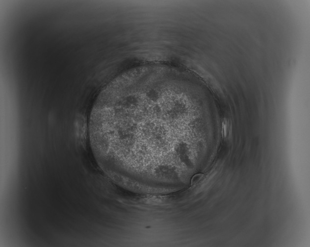 X0000100901251200807151111