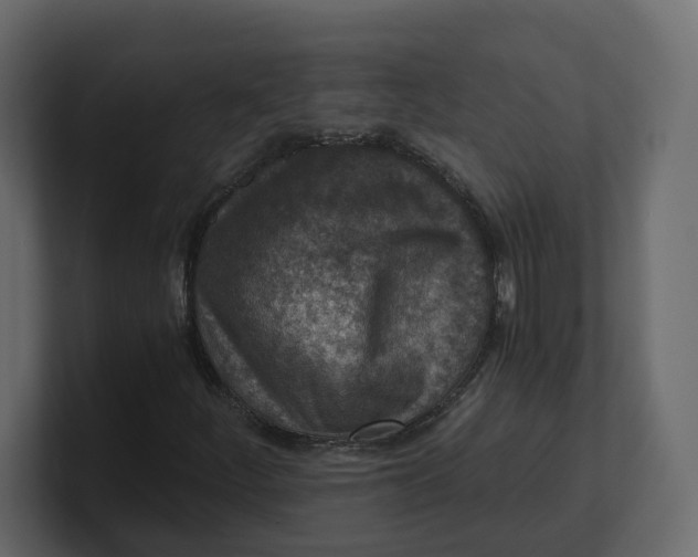 X0000100901252200807151111