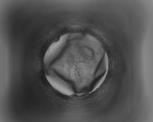 X0000100901253200807151111