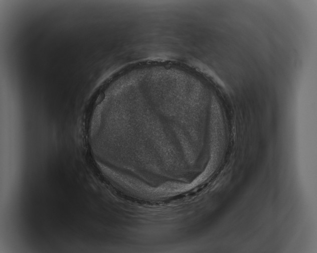 X0000100901256200807151111