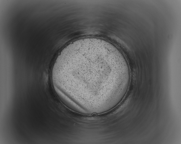 X0000100901257200807151111