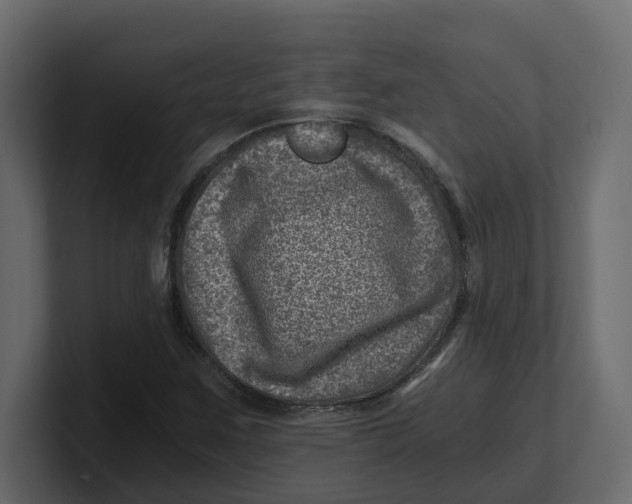 X0000100901259200807151111