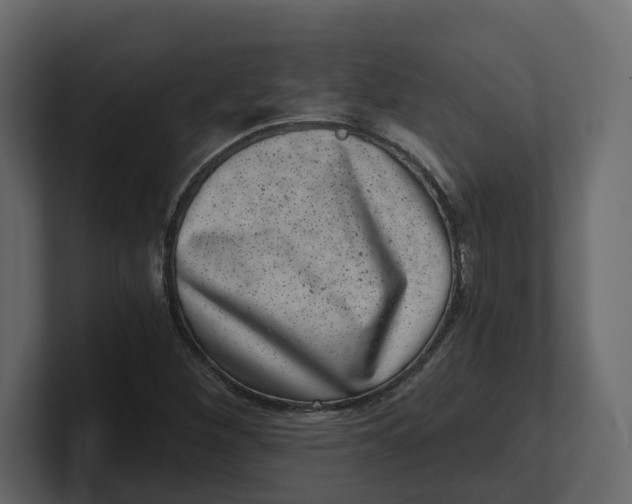 X0000100901260200807151111