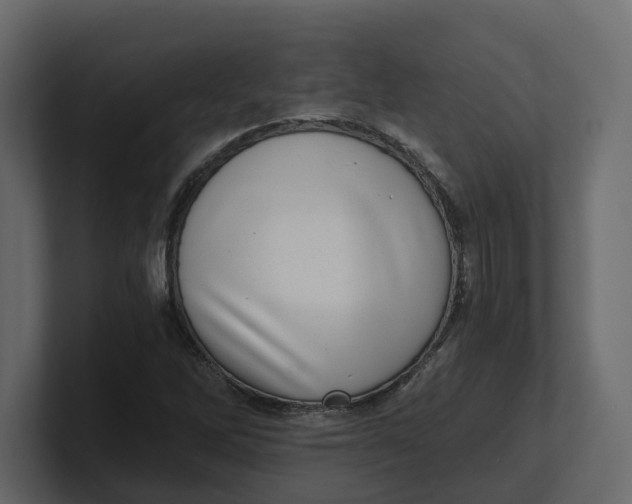 X0000100901262200807151111