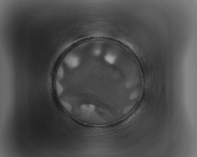 X0000100901263200807151111