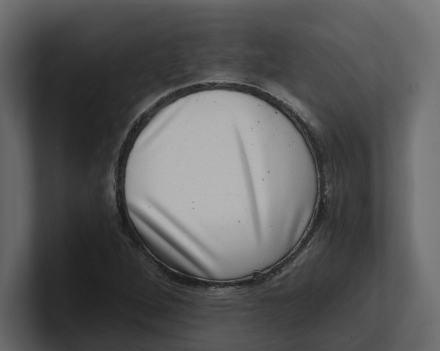 X0000100901264200807151111