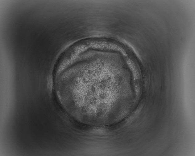 X0000100901267200807151111