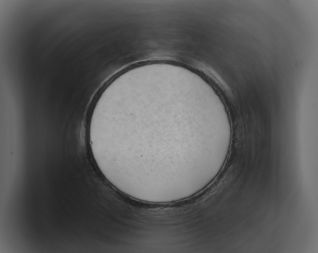 X0000100901268200807151111