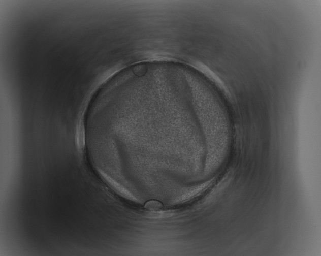 X0000100901269200807151110