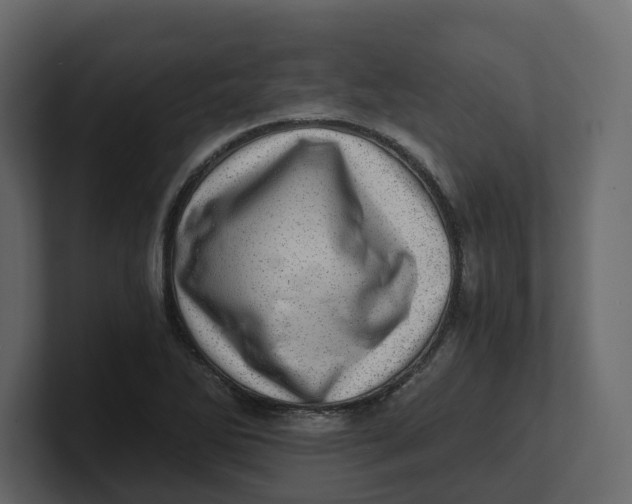 X0000100901270200807151110