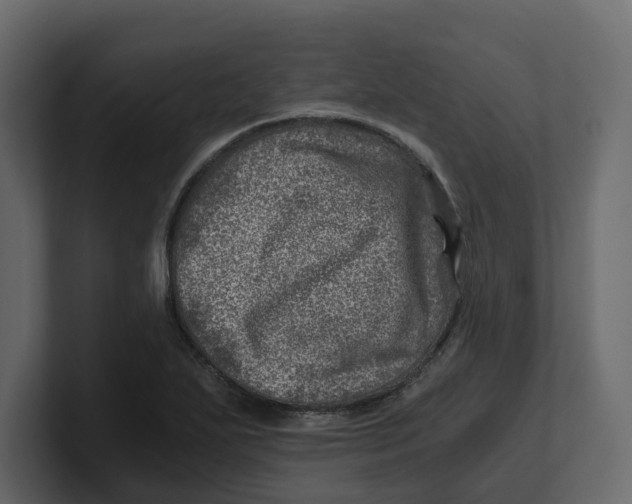 X0000100901271200807151110