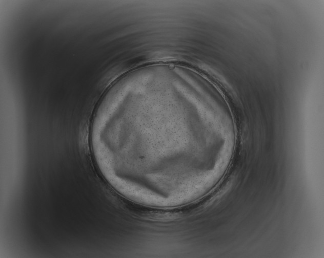 X0000100901273200807151110