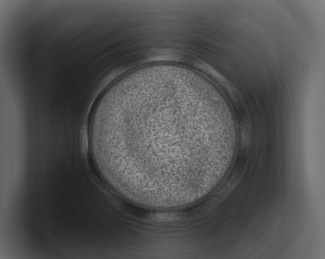 X0000100901274200807151110