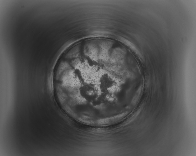 X0000100901275200807151110