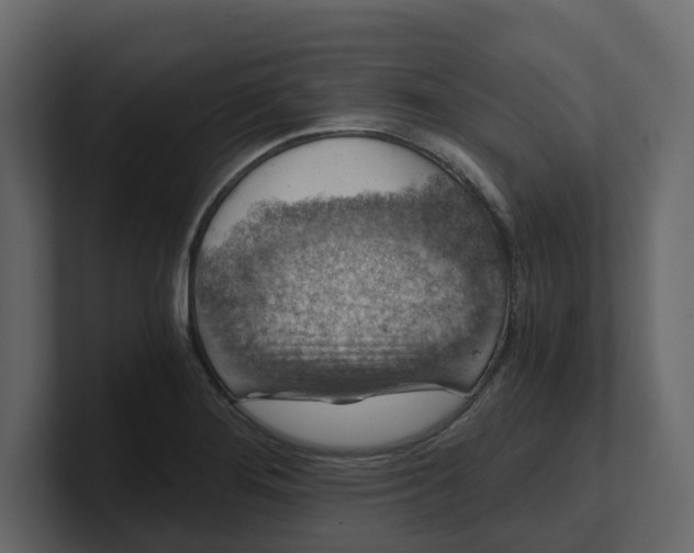 X0000100901276200807151110