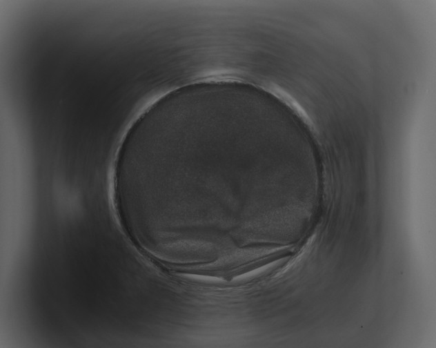 X0000100901277200807151110