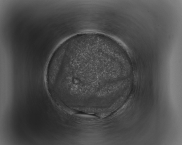 X0000100901279200807151110