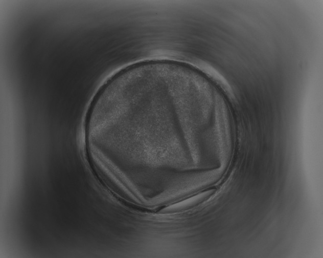 X0000100901280200807151110