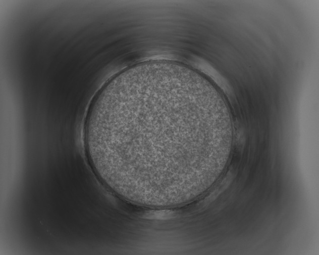 X0000100901282200807151110