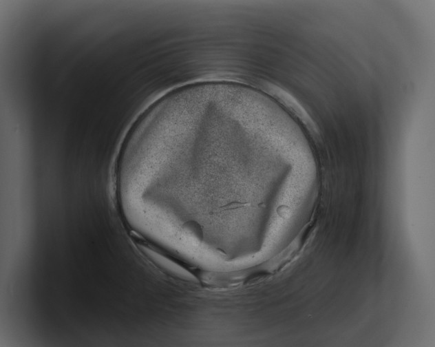 X0000100901284200807151110