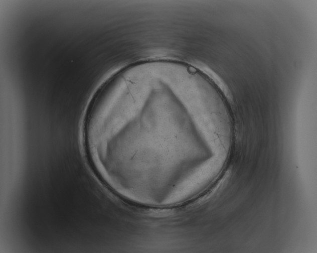 X0000100901285200807151110