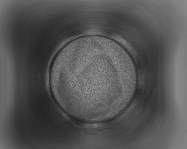 X0000100901286200807151110