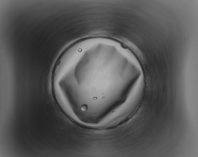 X0000100901288200807151110