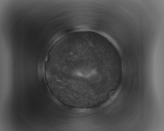 X0000100901289200807151110