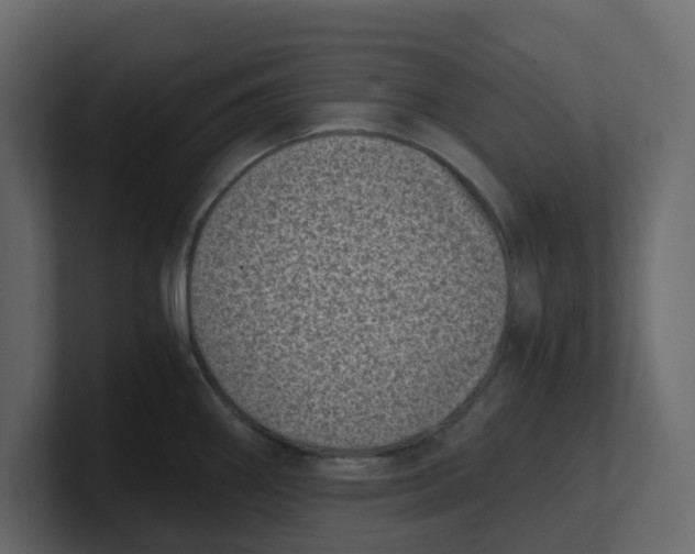 X0000100901290200807151110