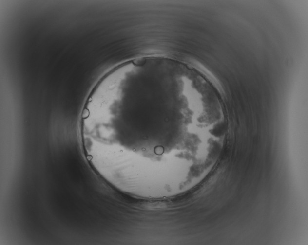 X0000100901291200807151110