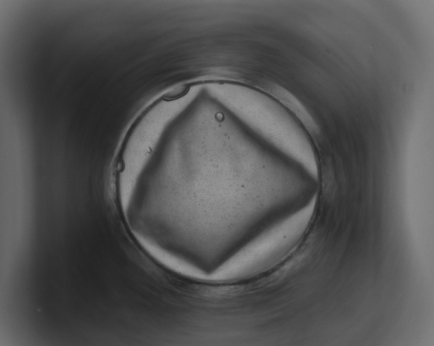 X0000100901292200807151110