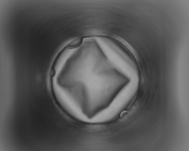 X0000100901293200807151110