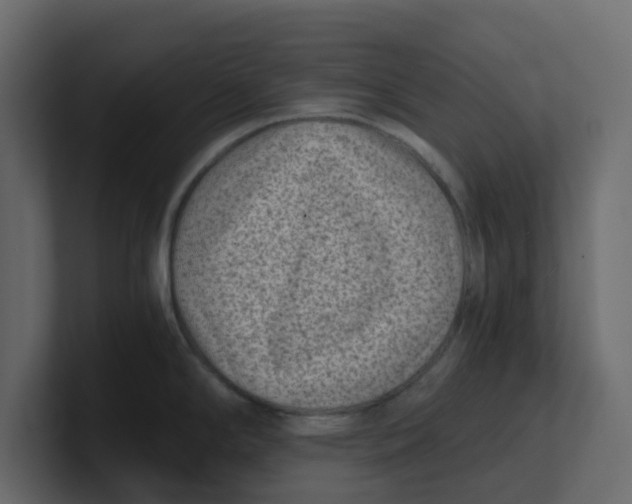 X0000100901294200807151110